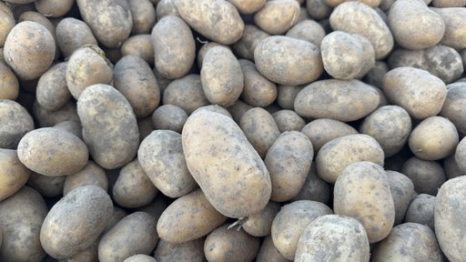 Kartoffeln 