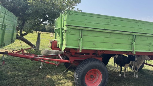 Ein grüner Anhänger steht auf einer Wiese