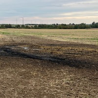 Abgeranntes Feld