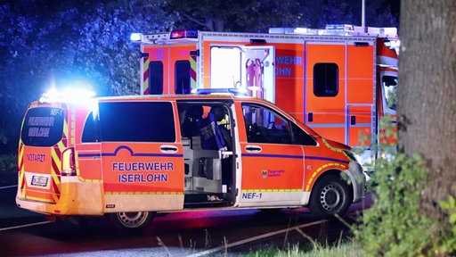 Ein Rettungswagen und ein Feuerwehrfahrzeug am Unfallort