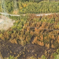 Brandstelle unter einer Stromleitung nach Waldbrand in Iserlohn 