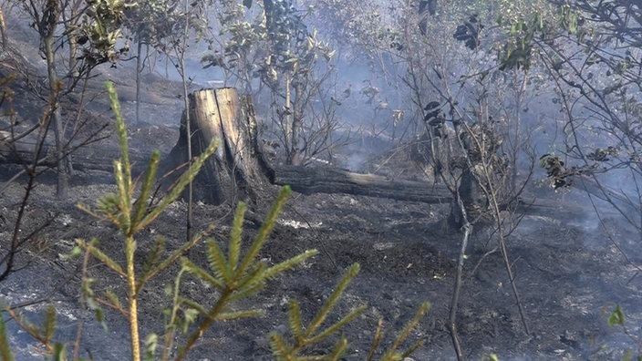 Waldbrand in Iserlohn