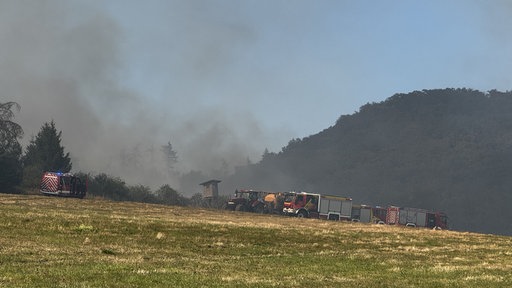 Feuerwehrautos stehen auf einer großen Wieser vor dem Waldbrand