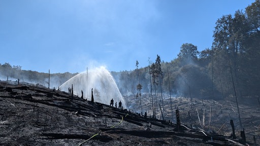 Löscharbeiten nach Waldbrand am Möhnesee