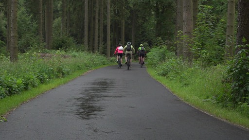 Drei Menschen fahren auf dem Fahrrad weg.