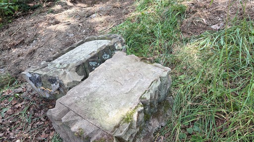 Grabsteine liegen umgekippt auf einer Wiese