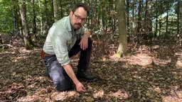 Christoph Grüner, Revierförster aus Arnsberg-Breitenbruch