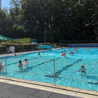 Ein Freibadbecken, in dem viele Menschen schwimmen