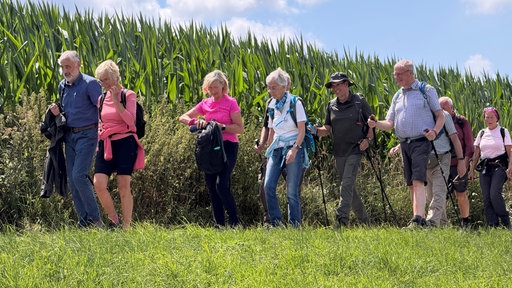 Einige Personen wandern neben einem Maisfeld