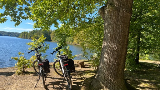 Fahrräder am Möhnesee 