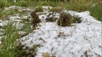 Nahaufnahme von einem kleinen Fleck Schnee auf einer Wiese