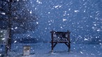 Es schneit bei Nacht am Waldrand vor einem Infoschild