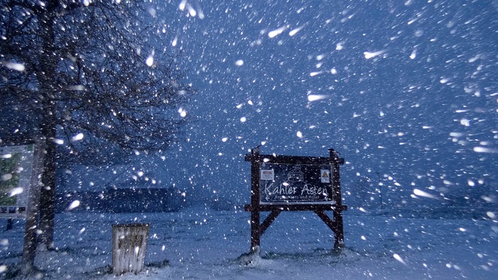 Es schneit bei Nacht am Waldrand vor einem Infoschild