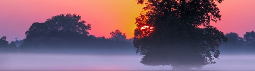 Die Sonne geht im Morgennebel hinter einem Feld auf