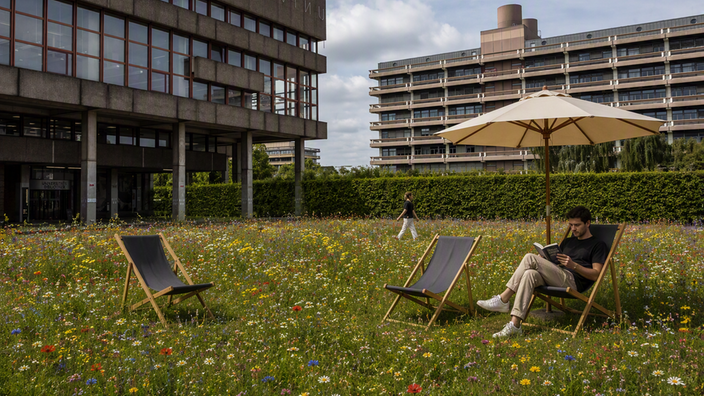 Blumenwiese vor der Unibibliothek Bochum /mit KI bearbeitet