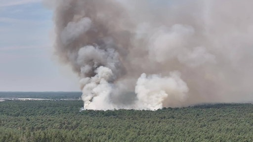 Flammen fressen sich durch Baumkronen in Oostrum, Niederlande