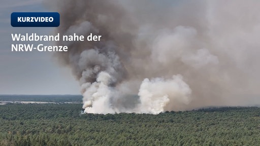 Flammen fressen sich druch Baumkronen an der Grenze zu NRW