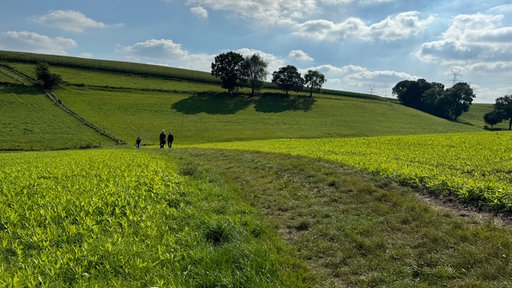 Die Entdeckerschleife Biohöfe im Windrather Tal