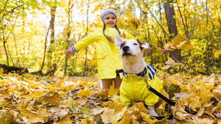 Mädchen mit Hund im Herbstlaub