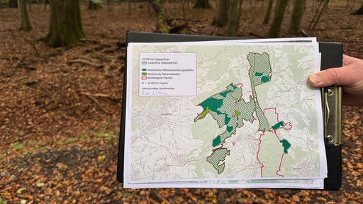 Eine Karte vom Wald und im Hintergrund ein dichter Wald