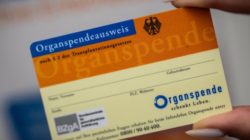 Eine Hand hält einen Organspendeausweis