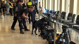 Ein Sprengstoff Spürhund der Polizei in der Universität zu Köln