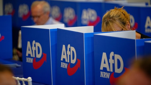 Delegierte auf der AfD-Landesversammlung wählen Listenkandidaten 