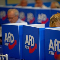 Delegierte auf der AfD-Landesversammlung wählen Listenkandidaten 