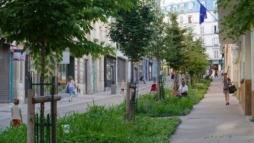 Paris, begrünte und verkehrsberuhigte Schulstraße rue Ferdinand Flocon