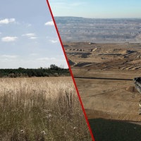 Links ein Feldstück, rechts ein Bagger im Tagebau Hambach