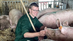 Christoph Sandhäger, Landwirt in Rheda-Wiedenbrück, mit seinen Schweinen