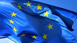EU Flagge