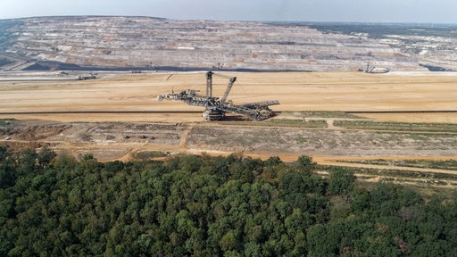 Zu sehen ist der Hambacher Forst. Dahinter steht ein Braunkohlebagger im Tagebau Hambach. 