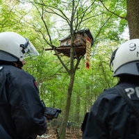 Polizisten stehen vor einem Baumhaus im Hambacher Forst