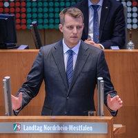 FDP-Fraktionschef im Landtag, Henning Höne
