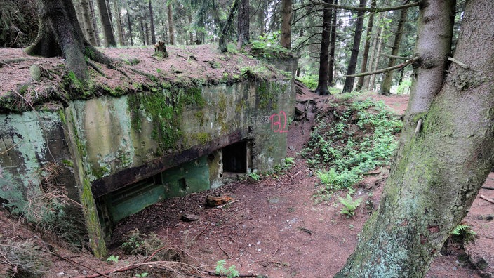 Bunker im Hürtgenwald
