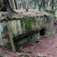 Bunker im Hürtgenwald
