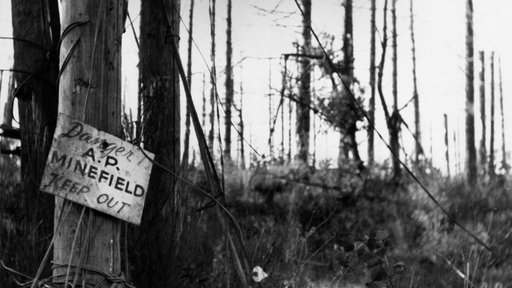 Schild im Hürtgenwald: "Danger A. P. Minefield Keep out"