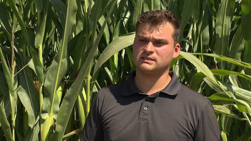 Landwirt Bastian Buschhaus vor einem Maisfeld
