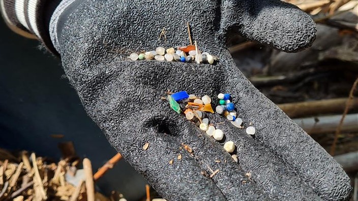 In einer Hand ist Mikroplastik aus dem Rhein zu sehen