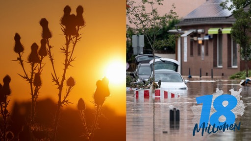 Klimawandel -Hitze und Flut