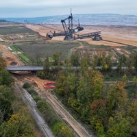 Sträucher und Bäume wachsen auf dem Mittelstreifen des nicht vollständig zurückgebauten Streckenabschnitts der Autobahn A4, die durch die Ausweitung des Braunkohletagebaus Hambach 2014 verlegt werden musste.