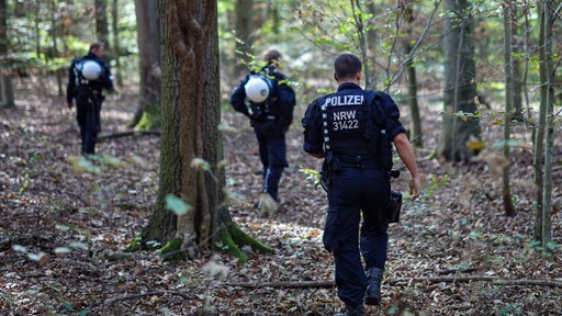 Mehrere Polizisten durchsuchen ein Waldstück im Hambacher Forst