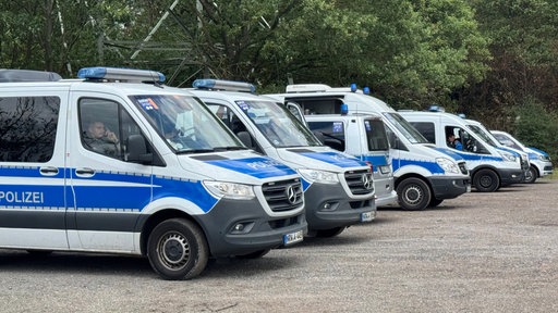 Mehre Polizeiautos stehen am Straßenrand.