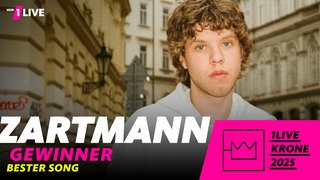 Bester Künstler: Zartmann