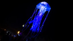 Fusion Festival