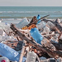 Plastikflaschen und anderer Müll liegen an einem Strand.