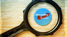 Logo AfD-a pod lupom