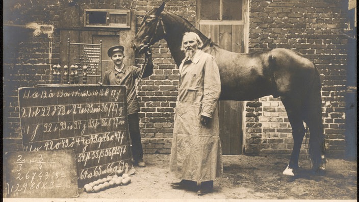 Vilhelm fon Osten i konj Pametni Hans
