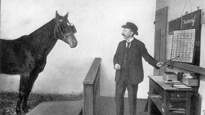 Pametni Hans i veštačka inteligencija